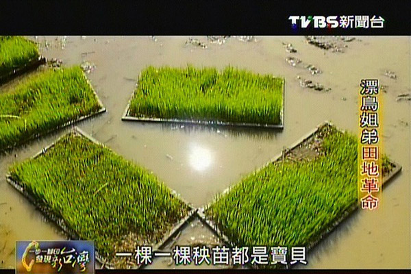 龍德米庒-【一步一腳印】漂鳥姐弟田地革命